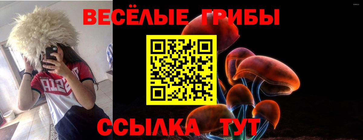 Галлюциногенные грибы GOLDEN TEACHER  где купить наркотик  Елец  Вход с VPN 